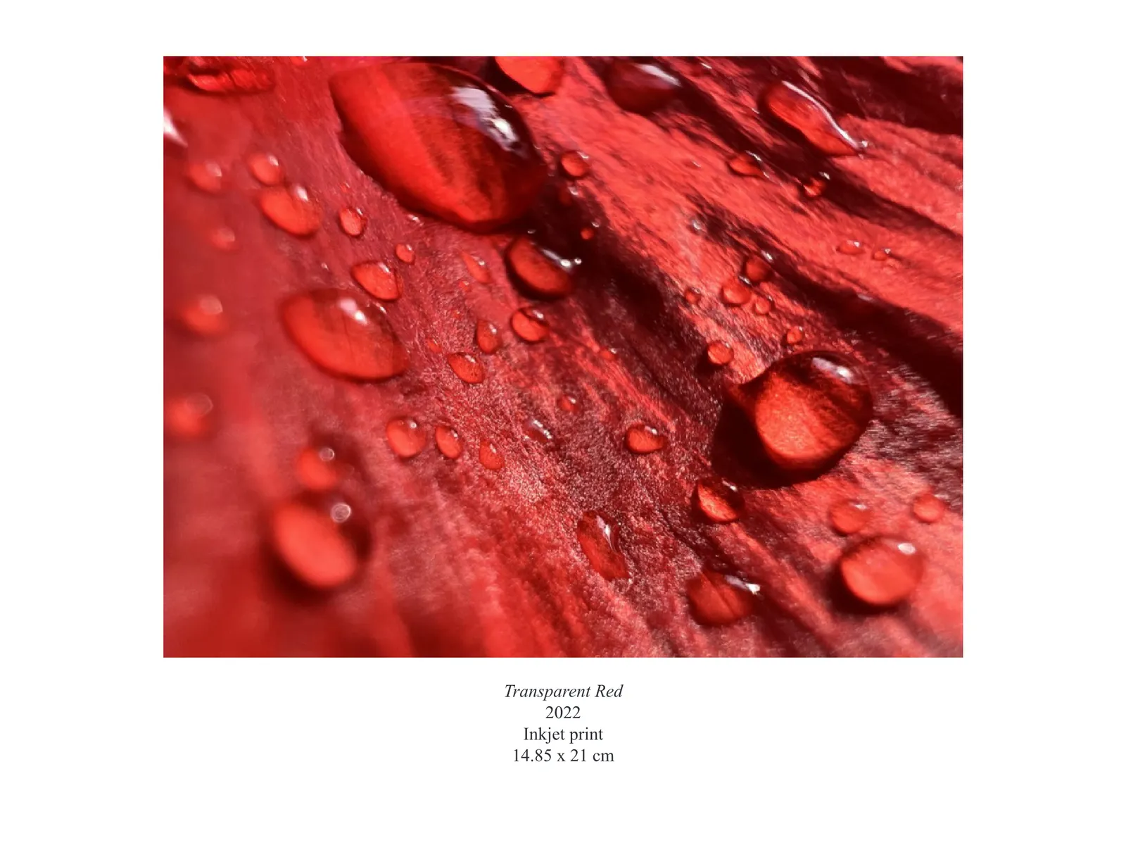 Photography & Installation — Portfolio — page 8