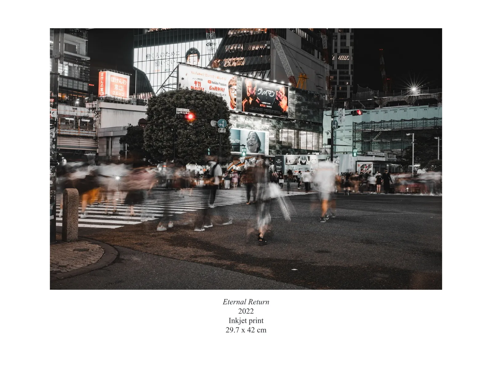 Photography & Installation — Portfolio — page 9